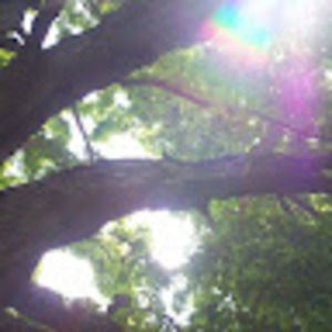 Meet your Posher, Phil